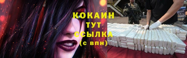 кокс Алексин