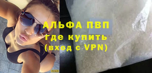 шишки Абаза