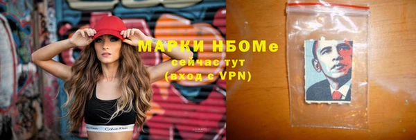 шишки Абаза