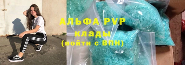 шишки Абаза