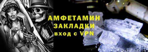 шишки Абаза