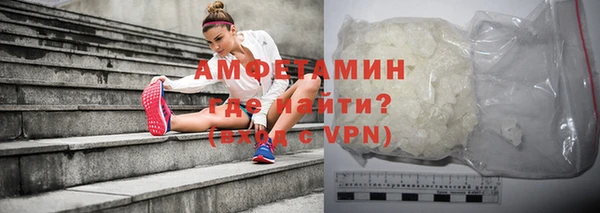 шишки Абаза