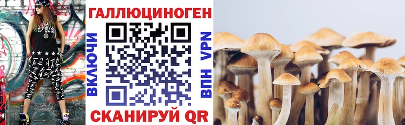 Псилоцибиновые грибы MAGIC MUSHROOMS  где можно купить   Осташков 